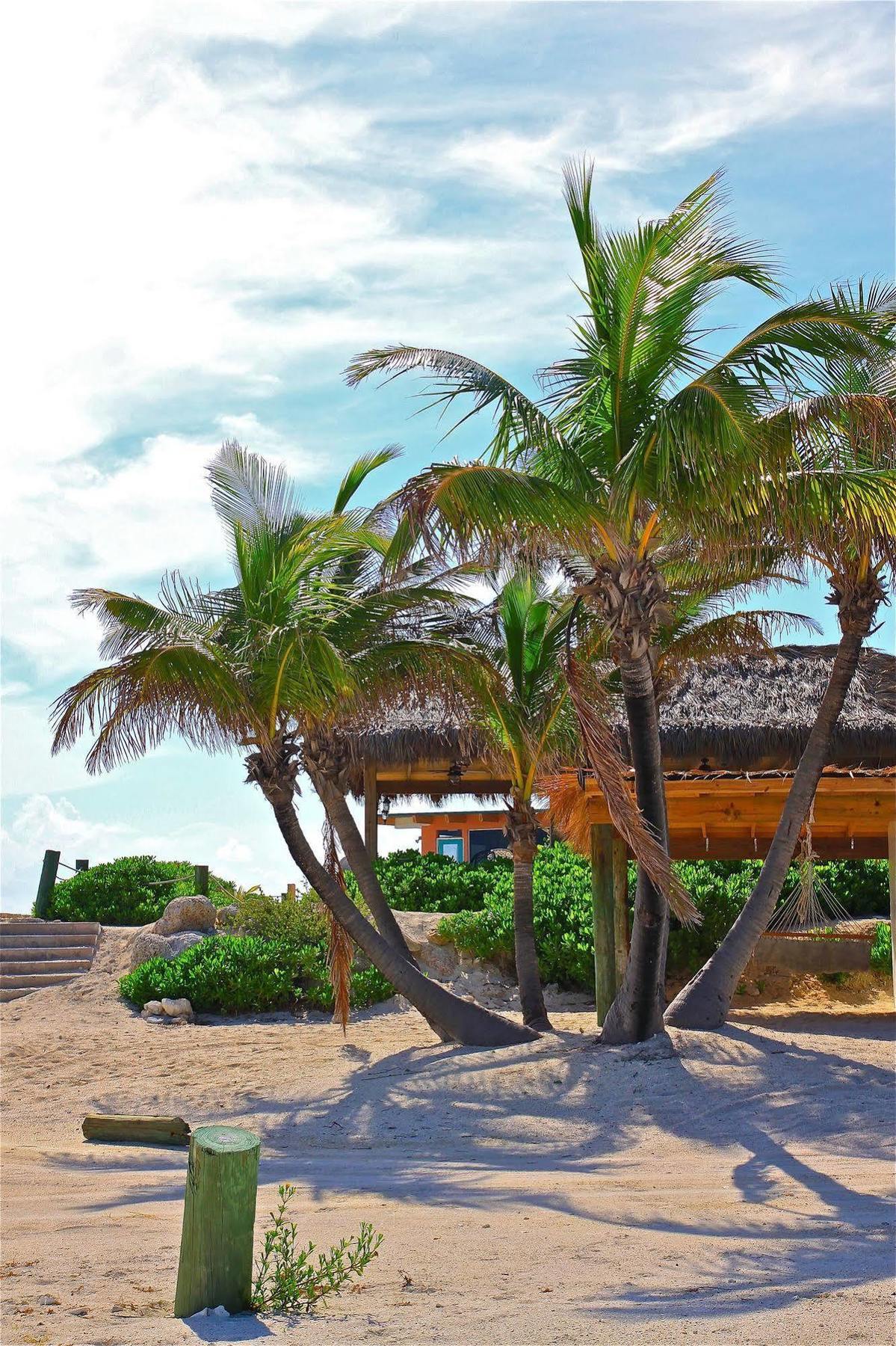 Bimini Sands Resort & Marina Exterior foto